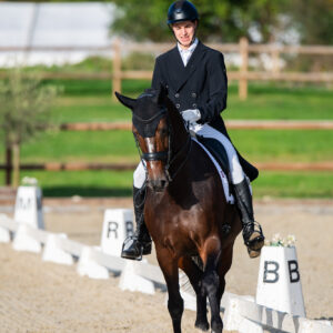 CDI Troisdorf 2023 - autumn