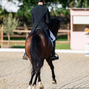 CDI Troisdorf 2023 - autumn