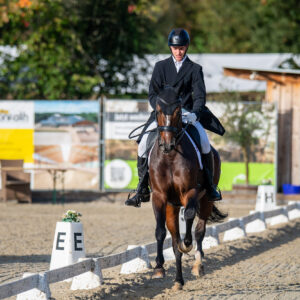 CDI Troisdorf 2023 - autumn