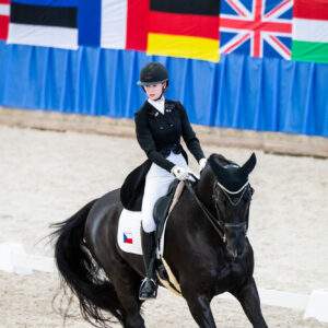 CDI Wroclaw 2023 - autumn