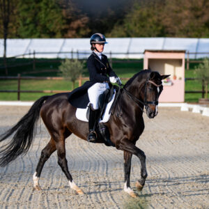CDI Troisdorf 2023 - autumn