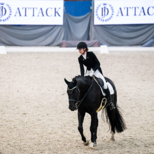 CDI Wroclaw 2023 - autumn