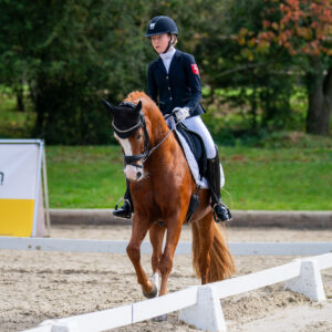 CDI Troisdorf 2023 - autumn