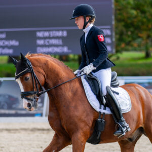 CDI Troisdorf 2023 - autumn