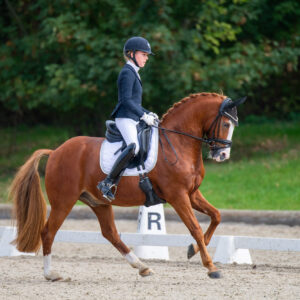 CDI Troisdorf 2023 - autumn