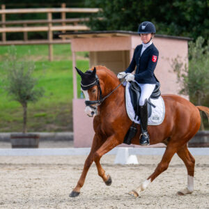 CDI Troisdorf 2023 - autumn