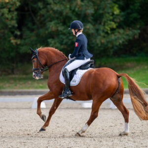 CDI Troisdorf 2023 - autumn