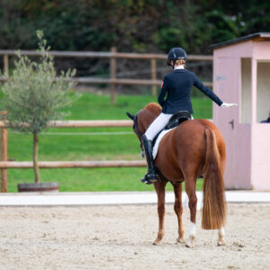 CDI Troisdorf 2023 - autumn
