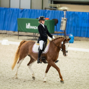 CDI Wroclaw 2023 - autumn