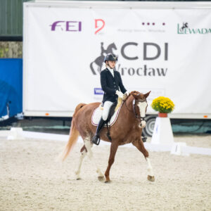 CDI Wroclaw 2023 - autumn