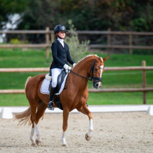 CDI Troisdorf 2023 - autumn