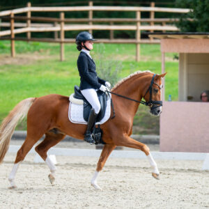 CDI Troisdorf 2023 - autumn