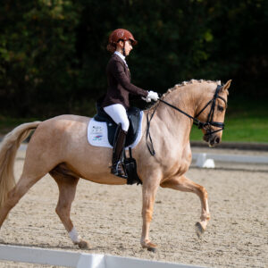CDI Troisdorf 2023 - autumn
