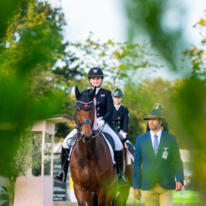 CDI Troisdorf 2023 - autumn