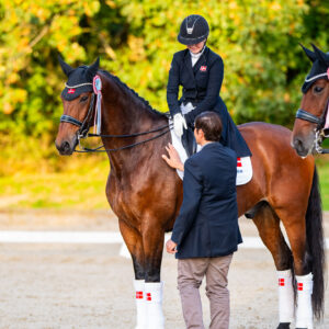 CDI Troisdorf 2023 - autumn
