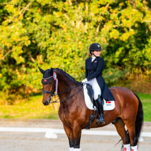 CDI Troisdorf 2023 - autumn