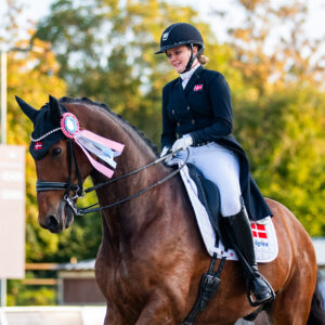 CDI Troisdorf 2023 - autumn