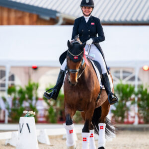 CDI Troisdorf 2023 - autumn