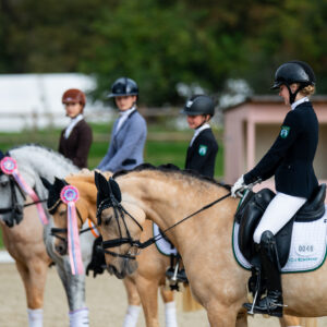 CDI Troisdorf 2023 - autumn
