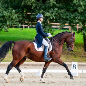 CDI Troisdorf 2023 - autumn