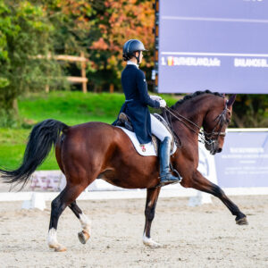 CDI Troisdorf 2023 - autumn