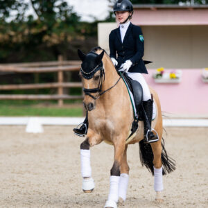 CDI Troisdorf 2023 - autumn