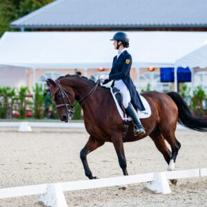 CDI Troisdorf 2023 - autumn