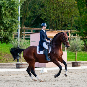 CDI Troisdorf 2023 - autumn