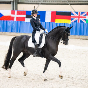 CDI Wroclaw 2023 - autumn