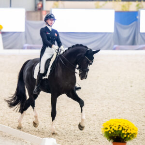 CDI Wroclaw 2023 - autumn
