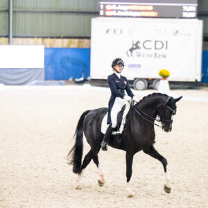CDI Wroclaw 2023 - autumn