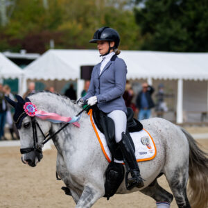 CDI Troisdorf 2023 - autumn