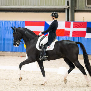 CDI Wroclaw 2023 - autumn