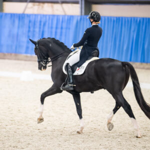 CDI Wroclaw 2023 - autumn