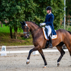 CDI Troisdorf 2023 - autumn