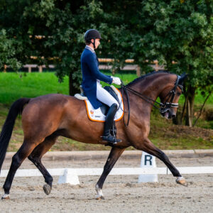 CDI Troisdorf 2023 - autumn