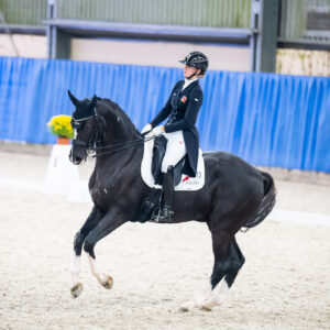 CDI Wroclaw 2023 - autumn
