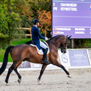 CDI Troisdorf 2023 - autumn