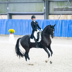 CDI Wroclaw 2023 - autumn