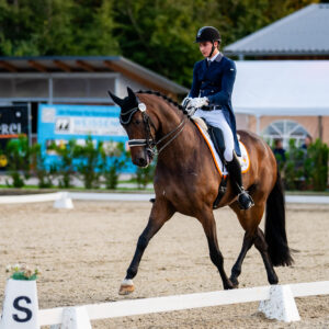 CDI Troisdorf 2023 - autumn
