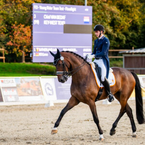 CDI Troisdorf 2023 - autumn
