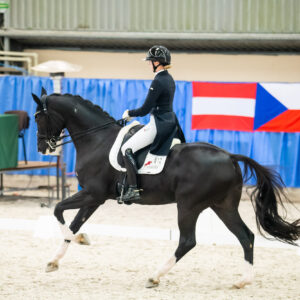 CDI Wroclaw 2023 - autumn