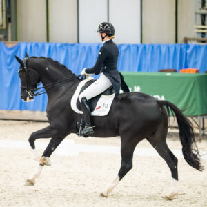 CDI Wroclaw 2023 - autumn