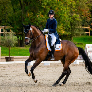 CDI Troisdorf 2023 - autumn