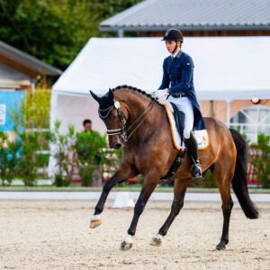 CDI Troisdorf 2023 - autumn