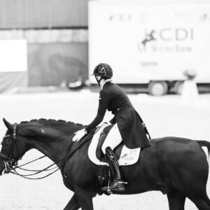 CDI Wroclaw 2023 - autumn