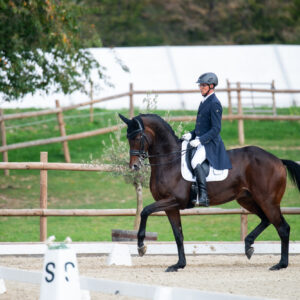 CDI Troisdorf 2023 - autumn