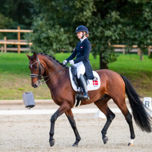 CDI Troisdorf 2023 - autumn