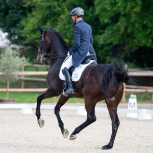 CDI Troisdorf 2023 - autumn