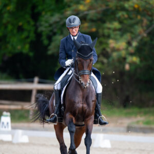 CDI Troisdorf 2023 - autumn